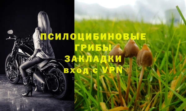 MESCALINE Куйбышев
